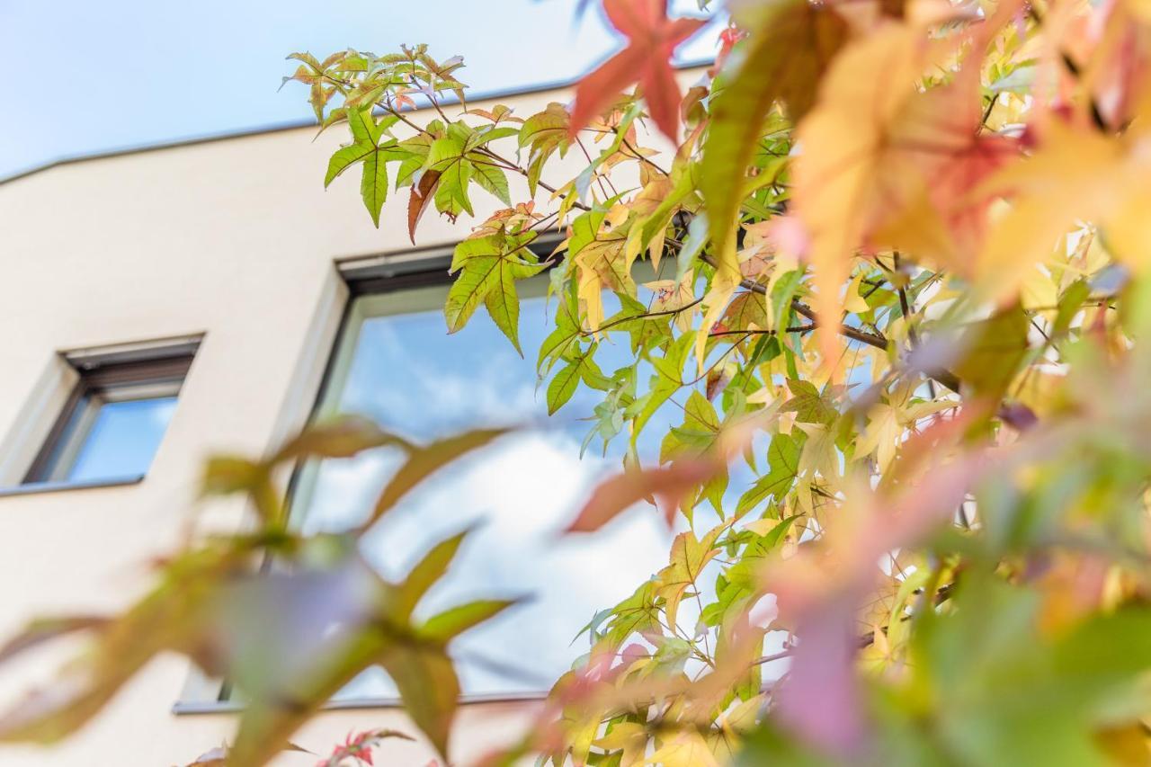 Hof Im Kalch Tramin Termeno